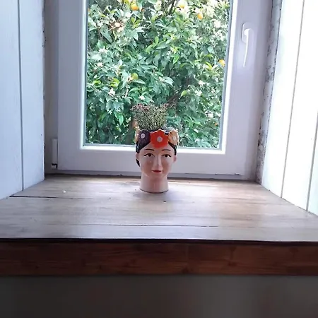 Casa Rocas * 卡什塔涅拉德佩拉
