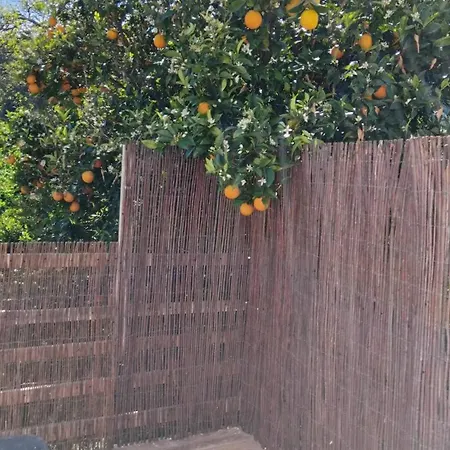 Casa Rocas كاستانهيرا دي بيرا