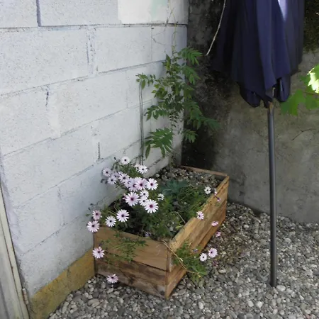 Casa Rocas Σπίτι διακοπών *